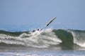 Surfer falling off of a wave Royalty Free Stock Photo