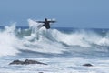 Surfer getting Air Royalty Free Stock Photo