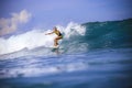 Surfer girl on Amazing Blue Wave Royalty Free Stock Photo