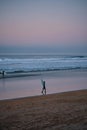 Surfer girl waiting on the beach after sunset Royalty Free Stock Photo