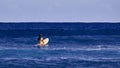 Surfer girl is waiting for a wave. Surfer school. Beautiful young woman Surfer on the wave. beautiful ocean wave. Water Royalty Free Stock Photo