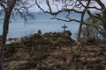 Surfer Graves Maui