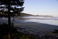 Surfer on misty Cox Bay, Tofino, British Columbia, Canada Royalty Free Stock Photo