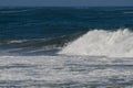 Surfer during the the National Open Royalty Free Stock Photo