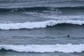 A surfer paddles on his surfboard towards a breaking approaching wave on a beach in Portugal Royalty Free Stock Photo