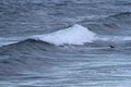 A surfer paddles on his surfboard towards a breaking approaching wave on a beach in Portugal Royalty Free Stock Photo