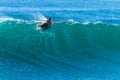 Surfer Paddles Over Cresting Wave Escape Beating