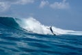 Surfer on perfect blue aquamarine wave, empty line up, perfect for surfing, clean water, Indian Ocean Royalty Free Stock Photo