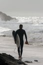 Surfer at Point Mugu Royalty Free Stock Photo