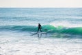 Surfer ride on stand up paddle board on ocean blue wave. Royalty Free Stock Photo