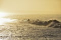 Surfer rides the golden ocean waves in the sunrise light. Royalty Free Stock Photo