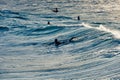 Surfer Rides a Large Blue Tropical Wave in Paradise