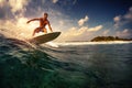 Surfer rides the ocean wave Royalty Free Stock Photo