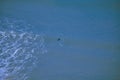 A surfer rides a wave of the sea. View from the height of a multi-storey building. Royalty Free Stock Photo