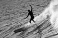 Surfer Riding Large Wave Black and White Royalty Free Stock Photo