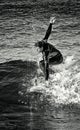 February 2019. Surfer riding a wave alone, sea spray, water sports, cala mesquida beach, mallorca, spain February 2019 Royalty Free Stock Photo