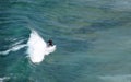 Surfer riding a wave off Dana Strand Beach in Dana Point, California. Royalty Free Stock Photo
