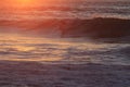 Surfer in San Francisco Lands End Royalty Free Stock Photo