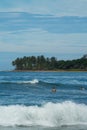 Surfer on the sea, palm trees on the background, blue sky Royalty Free Stock Photo