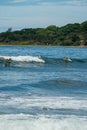 Surfer on the sea, palm trees on the background, blue sky Royalty Free Stock Photo