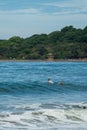 Surfer on the sea, palm trees on the background, blue sky Royalty Free Stock Photo