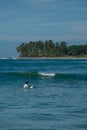 Surfer on the sea, palm trees on the background, blue sky Royalty Free Stock Photo