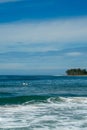 Surfer on the sea, palm trees on the background, blue sky Royalty Free Stock Photo