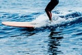 Surfování má z na koni vlny 