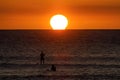 Surfer sihlouetted at sunset on Maui. Royalty Free Stock Photo