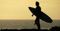 Surfer Silhouette Royalty Free Stock Photo