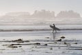 Surfer Silhouette on Cox Bay Beach, Tofino, Canada Royalty Free Stock Photo