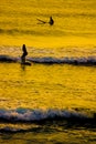 Surfer silhouette and dusk of Kamakura coast