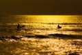 Surfer silhouette and dusk of Kamakura coast