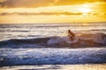 Surfer silhouette hitting a wave at sunset, golden hour, in the water of Newport Beach, California