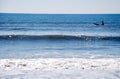 Surfer Silhouette in the Ocean Waves