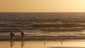 Surfer silhouette, pacific ocean beach sunset. People enjoy surfing. Oceanside, California USA Royalty Free Stock Photo