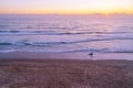 Surfer silhouette walking on ocean beach. Royalty Free Stock Photo