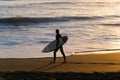 Surfer in silhouette walks to water`s edge carrying surfboard back-lit by golden light of setting sun Royalty Free Stock Photo