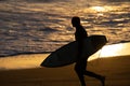 Surfer in silhouette walks to water`s edge carrying surfboard back-lit by golden light of setting sun Royalty Free Stock Photo