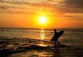 Surfer sunset Royalty Free Stock Photo