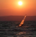 Surfer in the sunset at Balaton