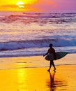 Surfer at sunset. Bali island Royalty Free Stock Photo