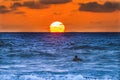 Surfer Sunset La Jolla Shores Beach San Diego California Royalty Free Stock Photo