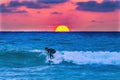 Surfer Sunset La Jolla Shores Beach San Diego California