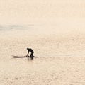 A surfer pushing his surfboard at sunset