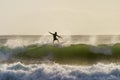 A surfer surfing at Betty`s Bay beach in the Western Cape, South Africa Royalty Free Stock Photo