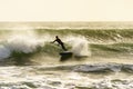 A surfer surfing at Betty`s Bay beach in the Western Cape, South Africa Royalty Free Stock Photo