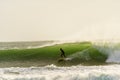 A surfer surfing at Betty`s Bay beach in the Western Cape, South Africa Royalty Free Stock Photo