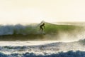 A surfer surfing at Betty`s Bay beach at sunset in the Western Cape, South Africa Royalty Free Stock Photo