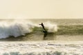 A surfer surfing at Betty`s Bay beach in the Western Cape, South Africa Royalty Free Stock Photo